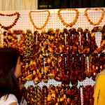 Amber Necklace Wholesale Lot