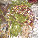 Rich Colored Beads
