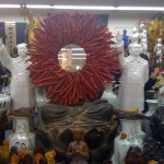 Amber Buddha Showcase