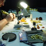 Amber Live Carvings
