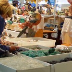 Crystal, Minerals and Stones. You will Find it all!