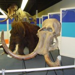 Prehistoric Sculptures