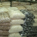 Beads Wholesale Lot