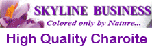 Skyline Business Minerals