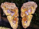 Del Rey Agates Products