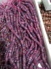 PG Gems Inc Products