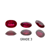 Hatam Co. Ltd Products