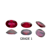 Hatam Co. Ltd Products