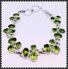 JAA Silvergems Products