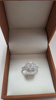 Petri Gems Products