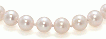 Janes Pearl World Products