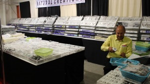 Natural Creations Booth