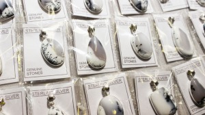 Silver Vision Inc