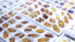 Amberman